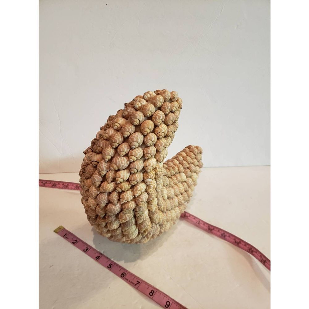 VTG Crescent Moon of Shells - Picture 9 of 9